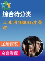 工業(yè)用1000th皮帶秤